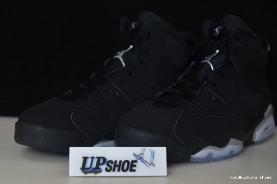 Jordan Retro DX2836-001 6 DX2836-001 Silver Metallic 0306